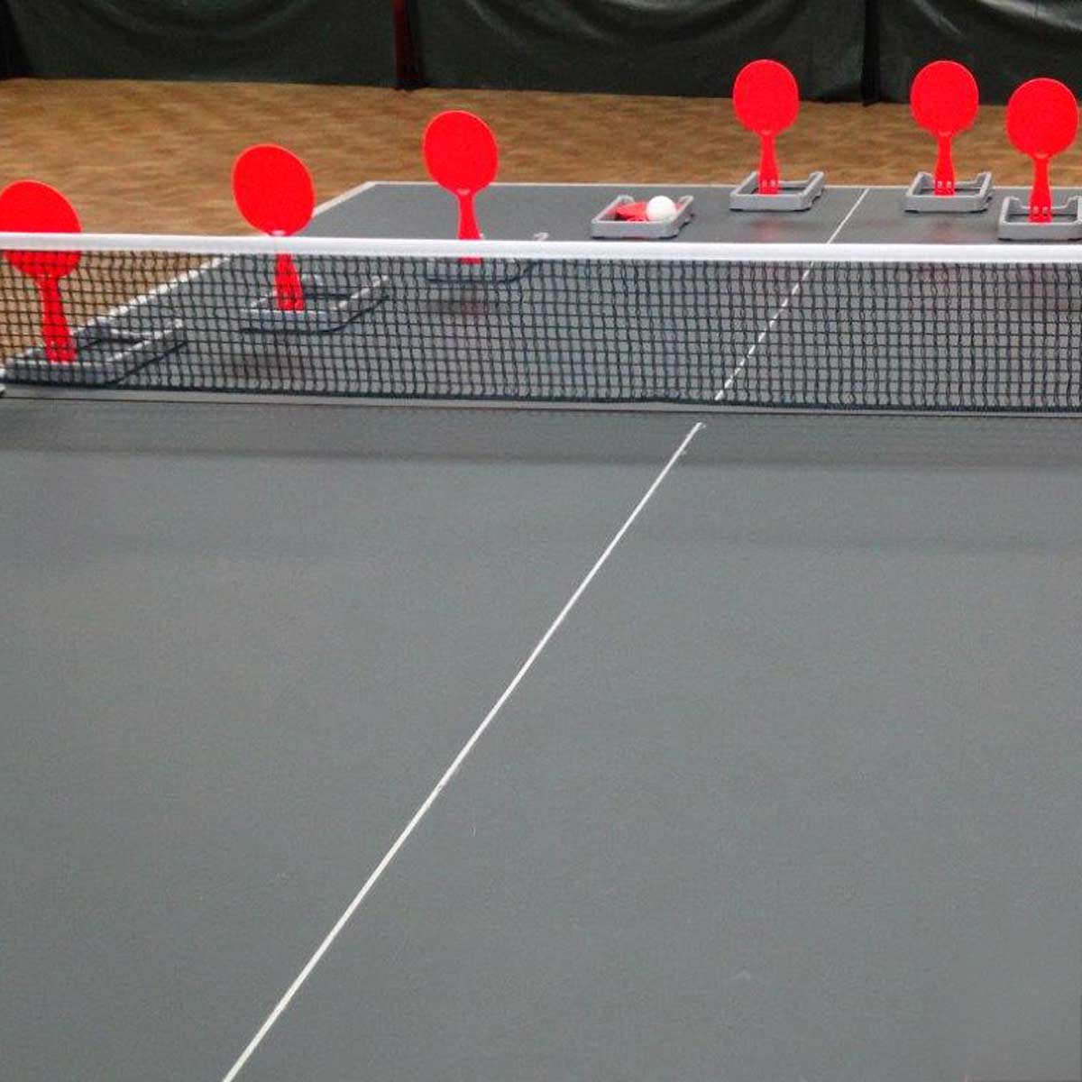 Flip-Paddle Set